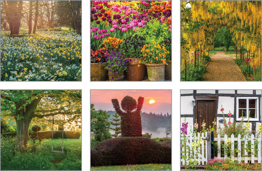 NC-CN503 - Clive Nichols Woodlands and Gardens Notecard Pack (Pack 3) (6 cards in pack)