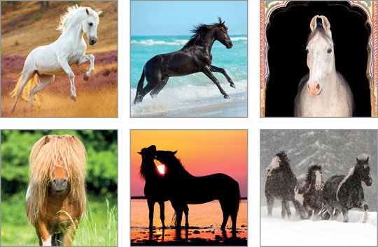 NC-HT503 - Horse Tails Notecard Pack (6 Designs in Pack)