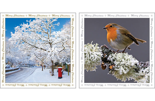 NC-XM503 - Post Box and Robin in the Snow Notecard Pack (6 cards)
