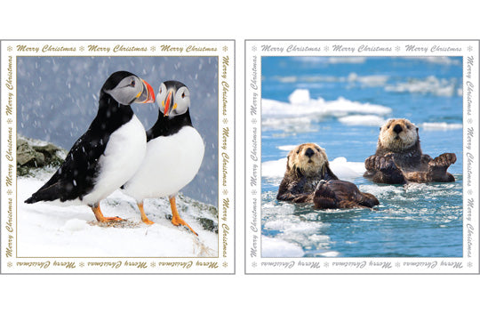NC-XM516 - Puffin and Sea Otters Christmas Notecard Pack (6 Cards)