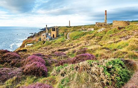 PCC593 - Levant Mine and Beam Engine Postcard