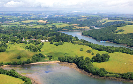 PCC634 - Trellisick Postcard