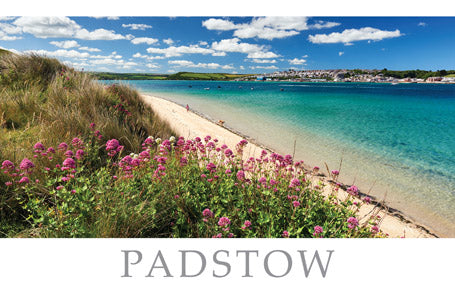 PCC662 - View of Padstow from Camel Estuary Cornwall Postcard