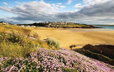 PCC666 - Polzeath Cornwall Postcard