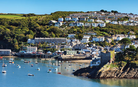 PCC698 - Polruan Cornwall Postcard