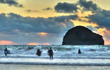 PCC719 - Gull Rock Trebarwith Strand Cornwall Postcard