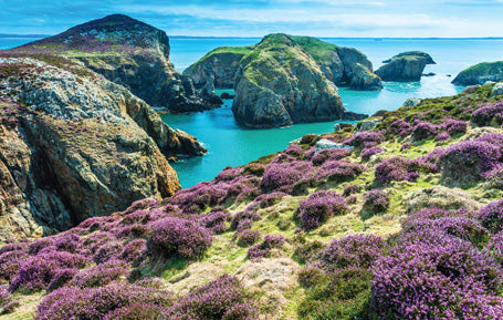 Pcw575 - Ramsey Island Pembrokeshire Wales Postcard – Shop 