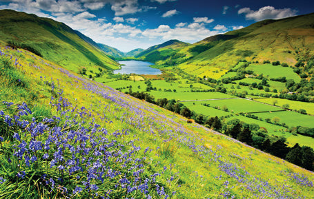 PCW580 - Tal-y-llyn Lake Gwynedd Postcard