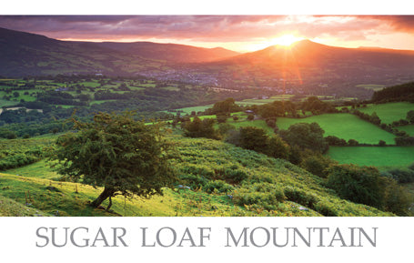 PCW587 - Sugar Loaf Mountain Abergavenny Postcard
