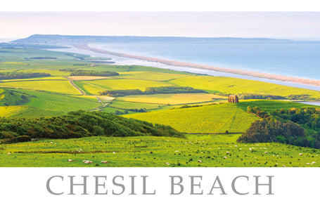 PDR507 - Chesil Beach Postcard