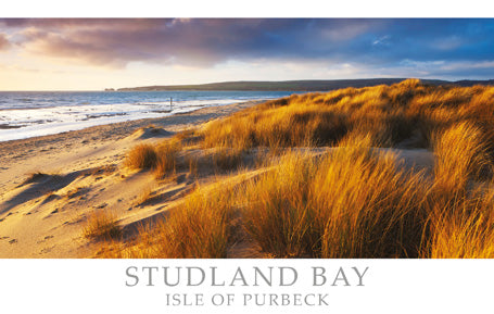 PDR527 - Studland Bay Isle of Purbeck Dorset Postcard