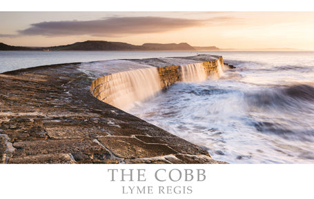 PDR538 - The Cobb Lyme Regis Postcard