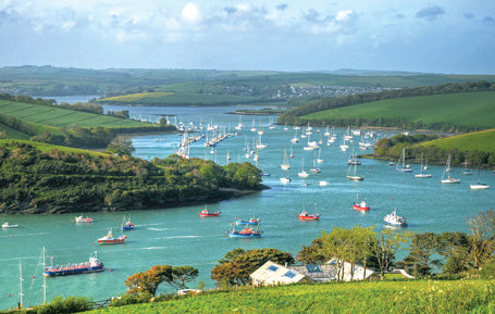 PDV538 - The Kingsbridge Estuary Devon Postcard