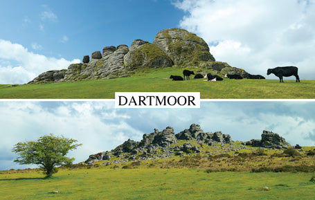 PDV567 - Hay Tor and Hound Tor Dartmoor Postcard