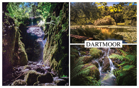 PDV631 - Canonteign Falls, Dartmoor Postcard