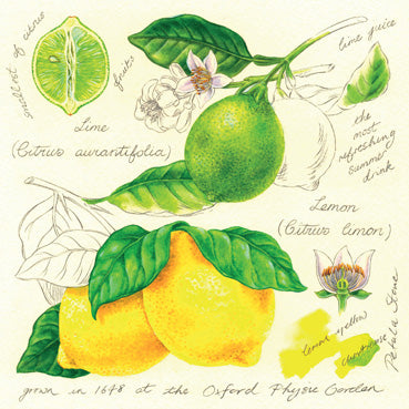 RT142 - Lemons Greeting Card