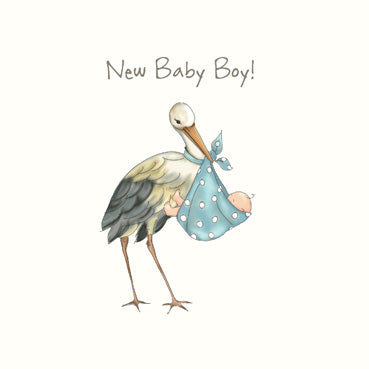 SP107 - New Baby Boy (Stork) Greeting Card