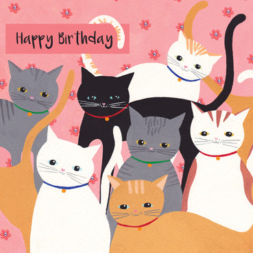 SSH107 - Happy Birthday (Cats) Greeting Card