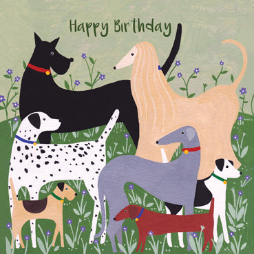 SSH108 - Happy Birthday (Dogs) Greeting Card