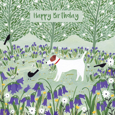 SSH111 - Dog & Bluebells Birthday Card