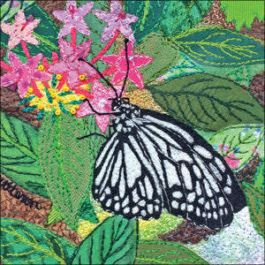 UTT107 - Marbled White Butterfly Greeting Card