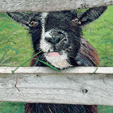 UTT108 - Happy Goat Greeting Card